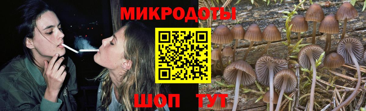 наркота  Вход с VPN  Пыть-Ях  Галлюциногенные грибы Psilocybine cubensis 